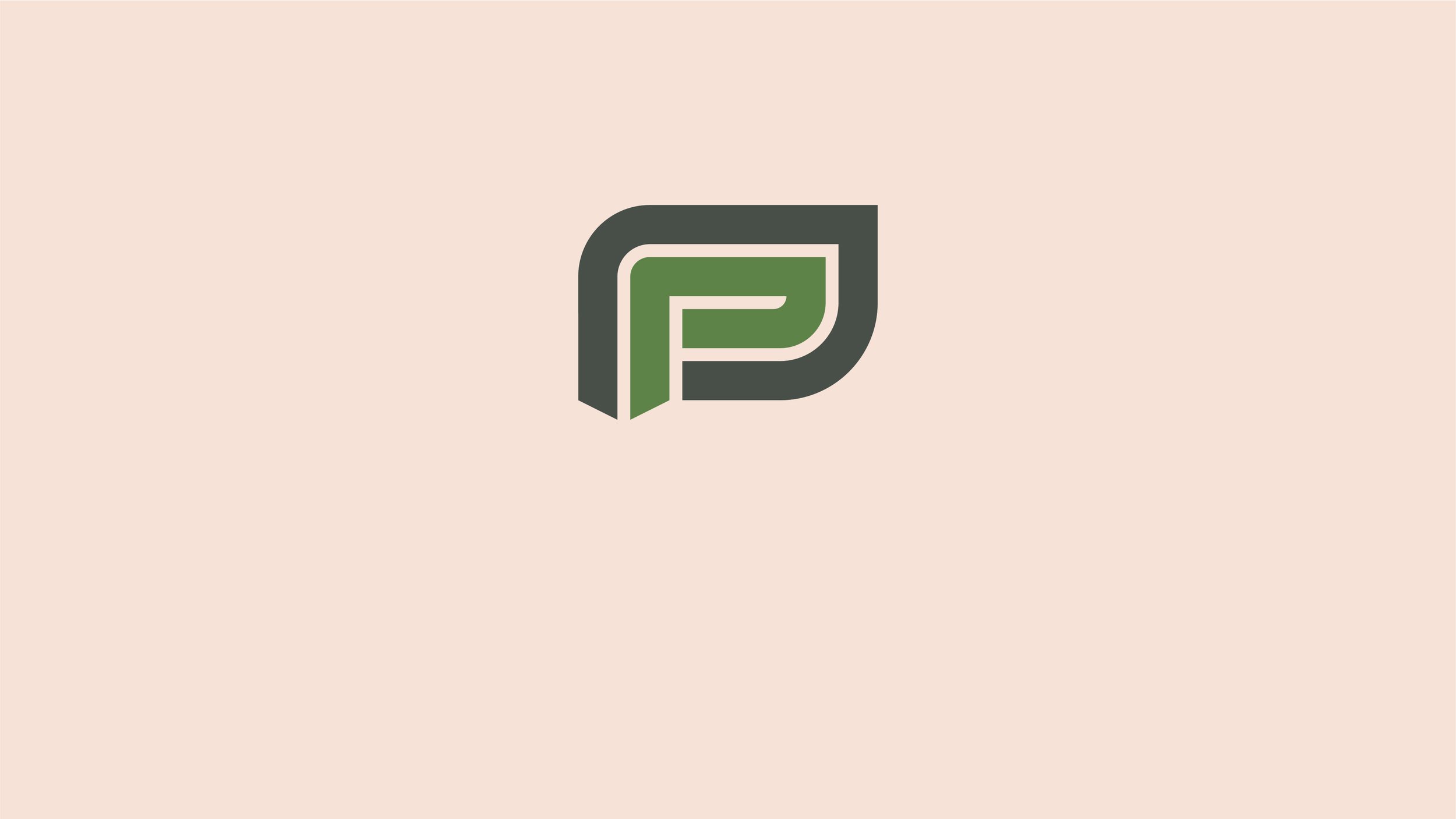 07_Pioneer_D1_Logo_Animation6.jpg