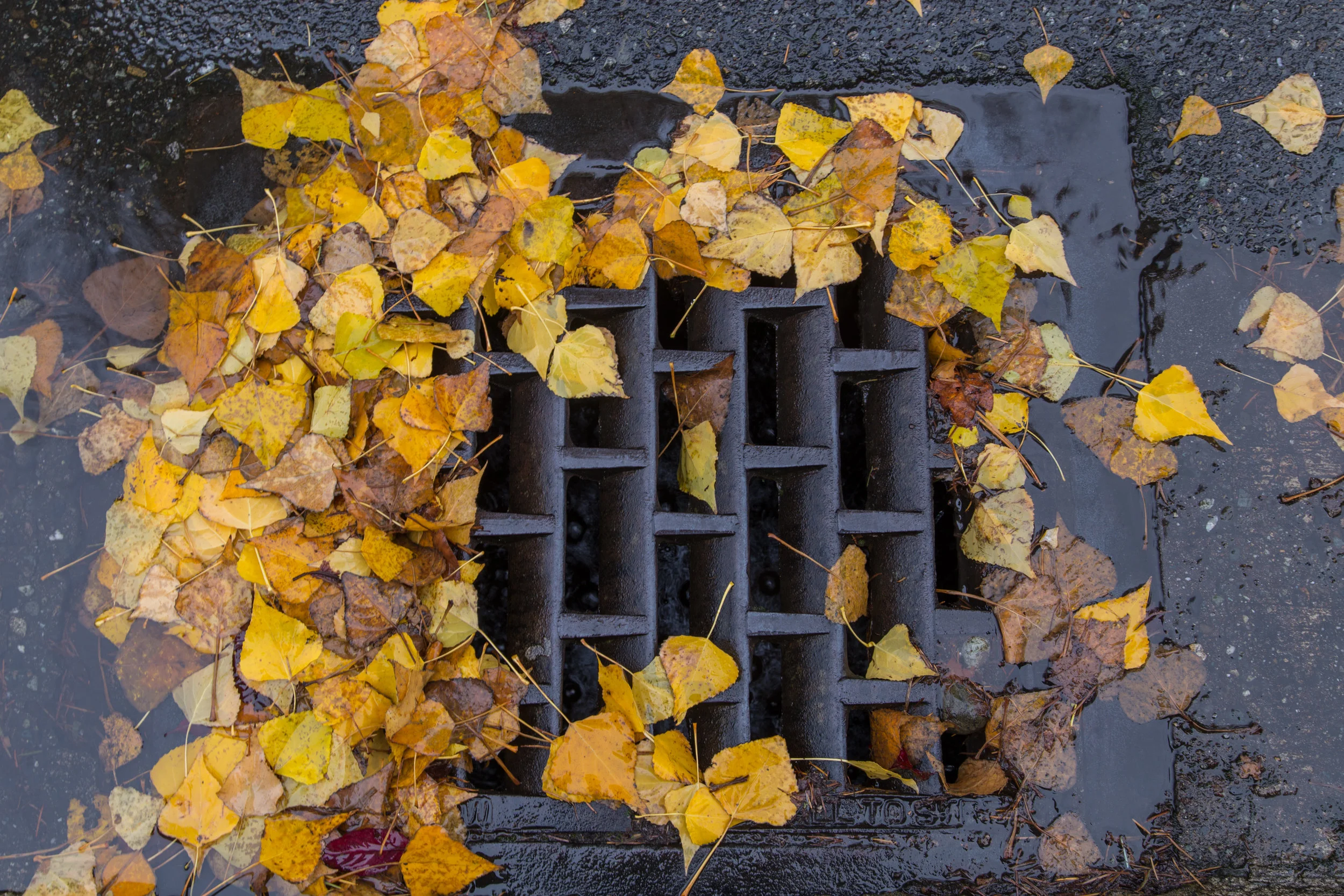 AdobeStock_131978254.jpeg