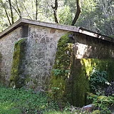 20170308_122422_160.jpg