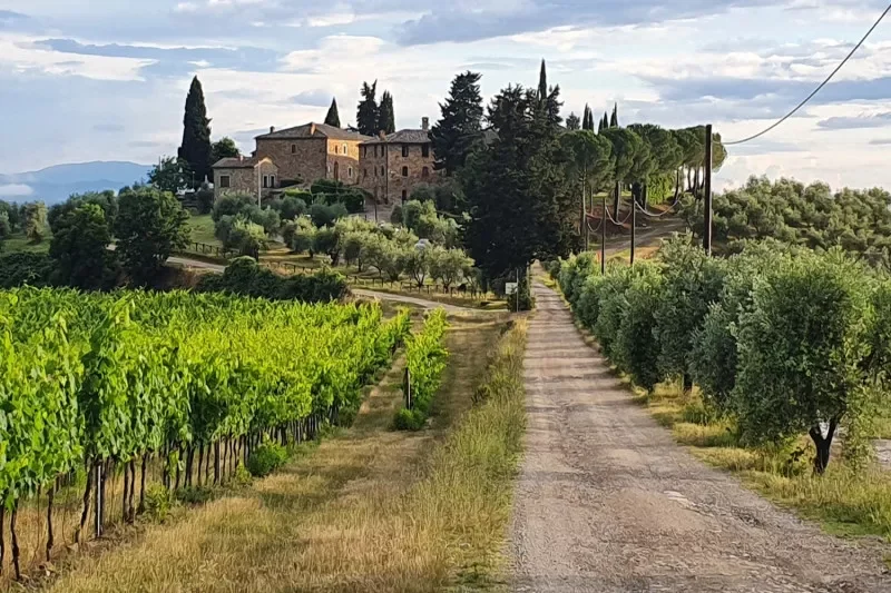 Chianti-landscap 5.webp