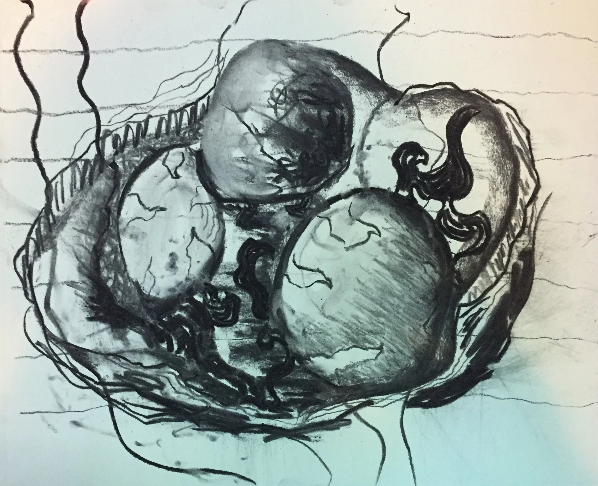 Phoenix Embryo