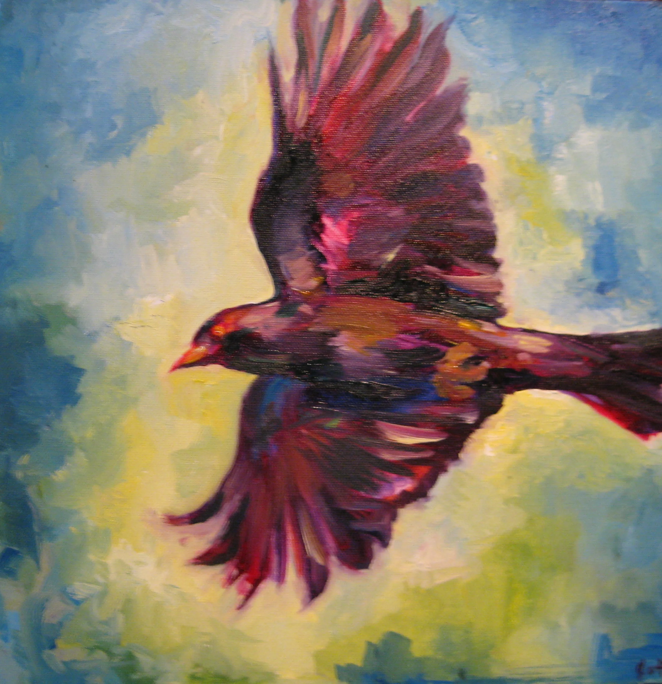 Raven Flying