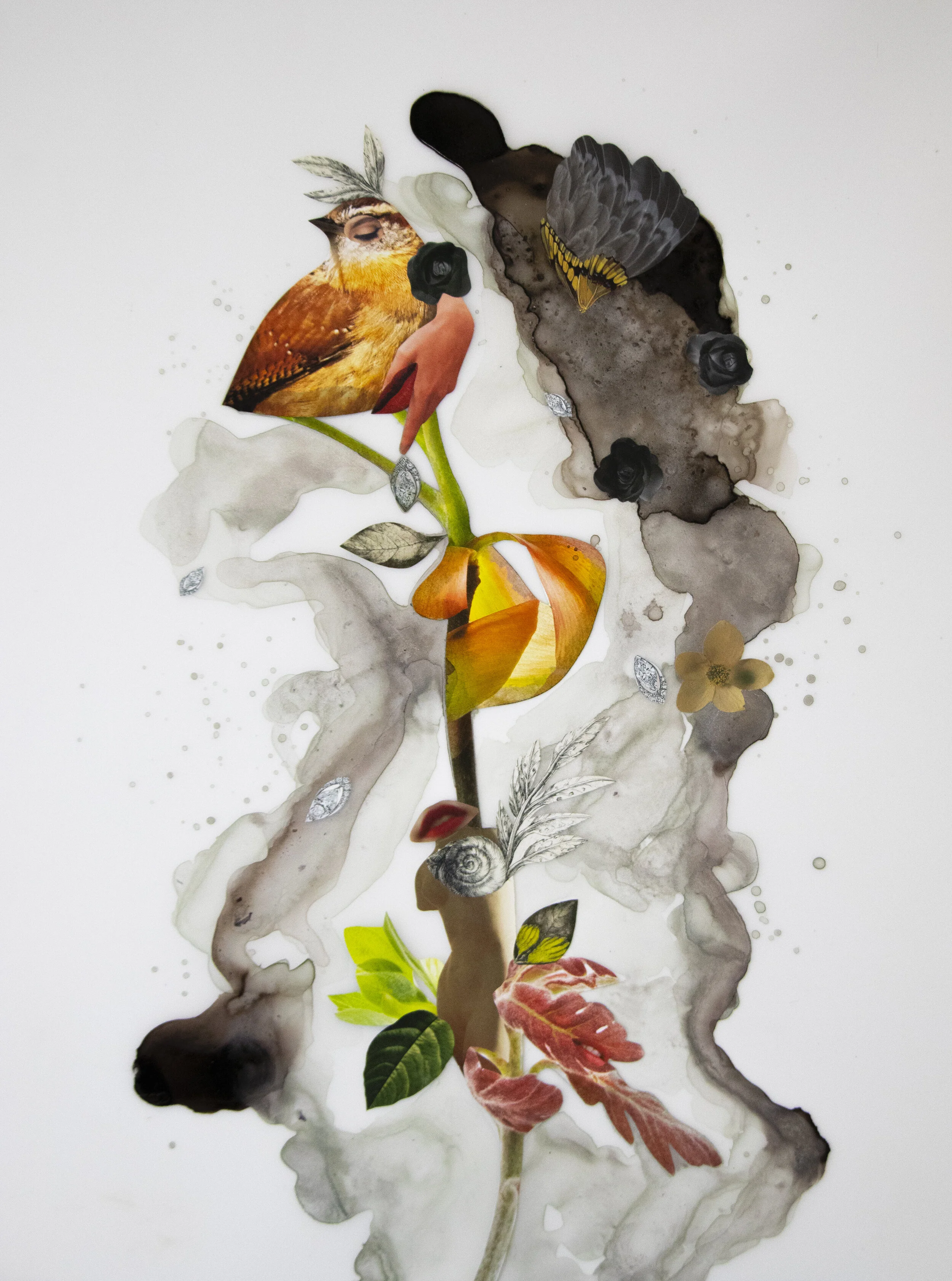 Parfenova_Birdsong.JPG