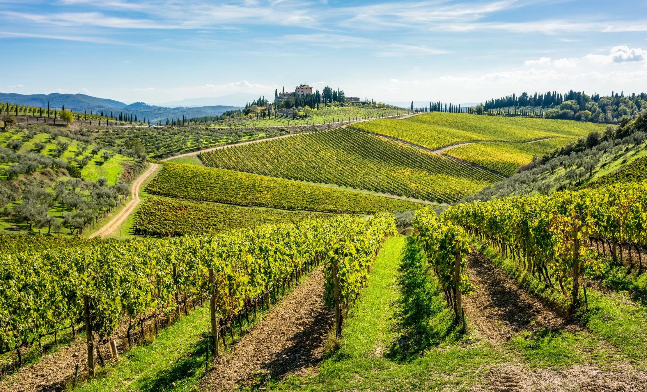 Chianti-landscap 7.jpg