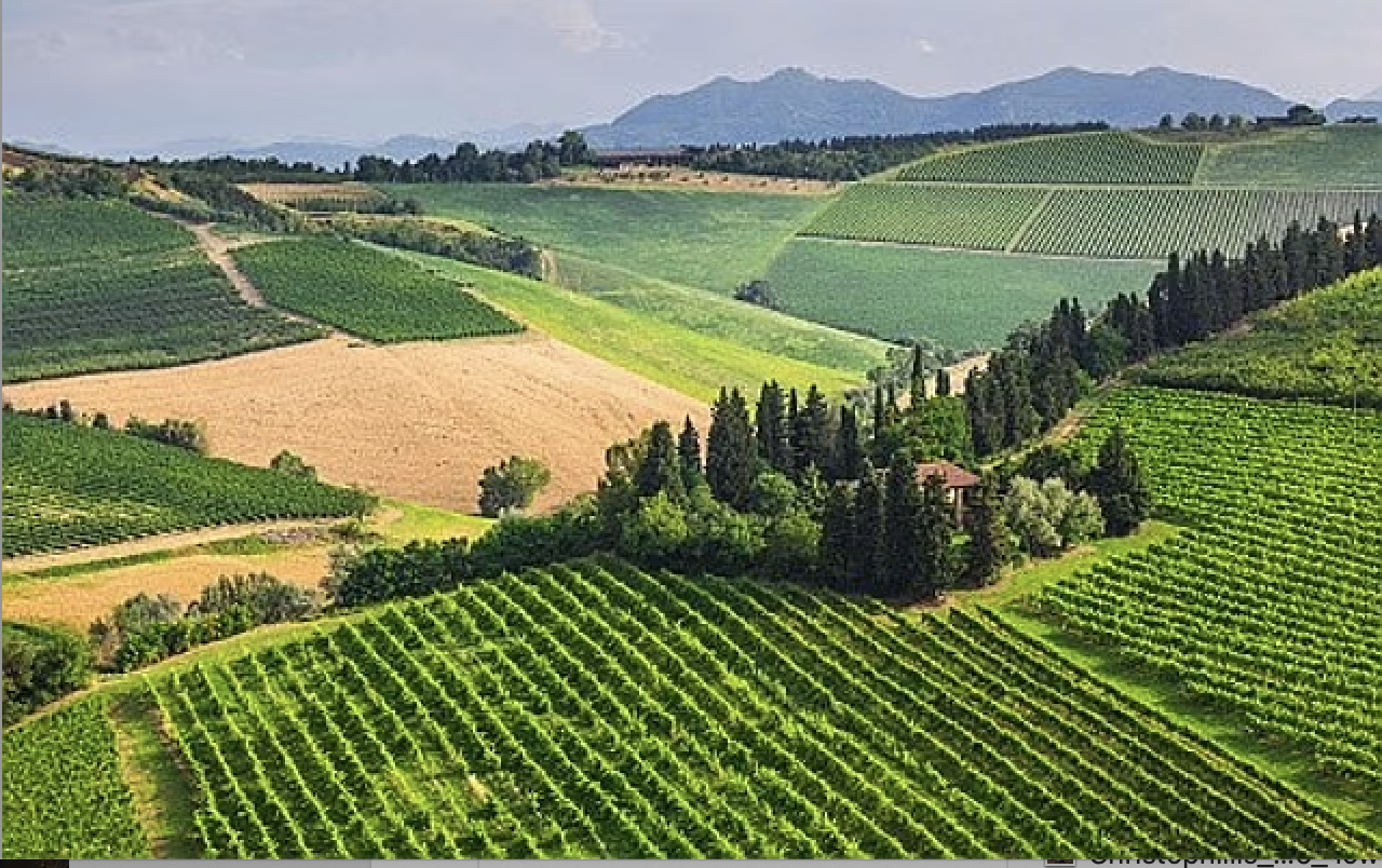 Chianti Winery 2.png