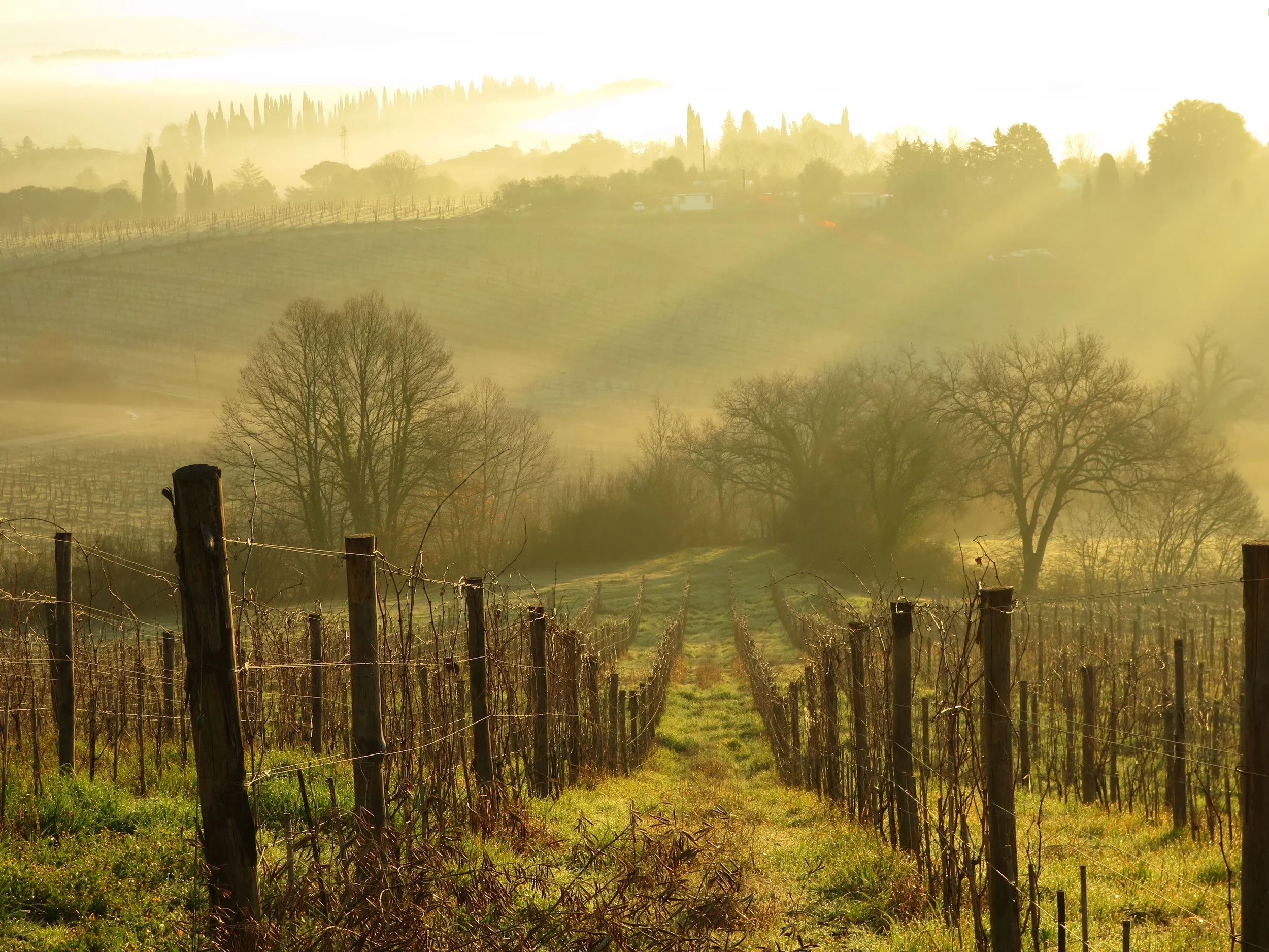 torre alle tolfe 8.JPG