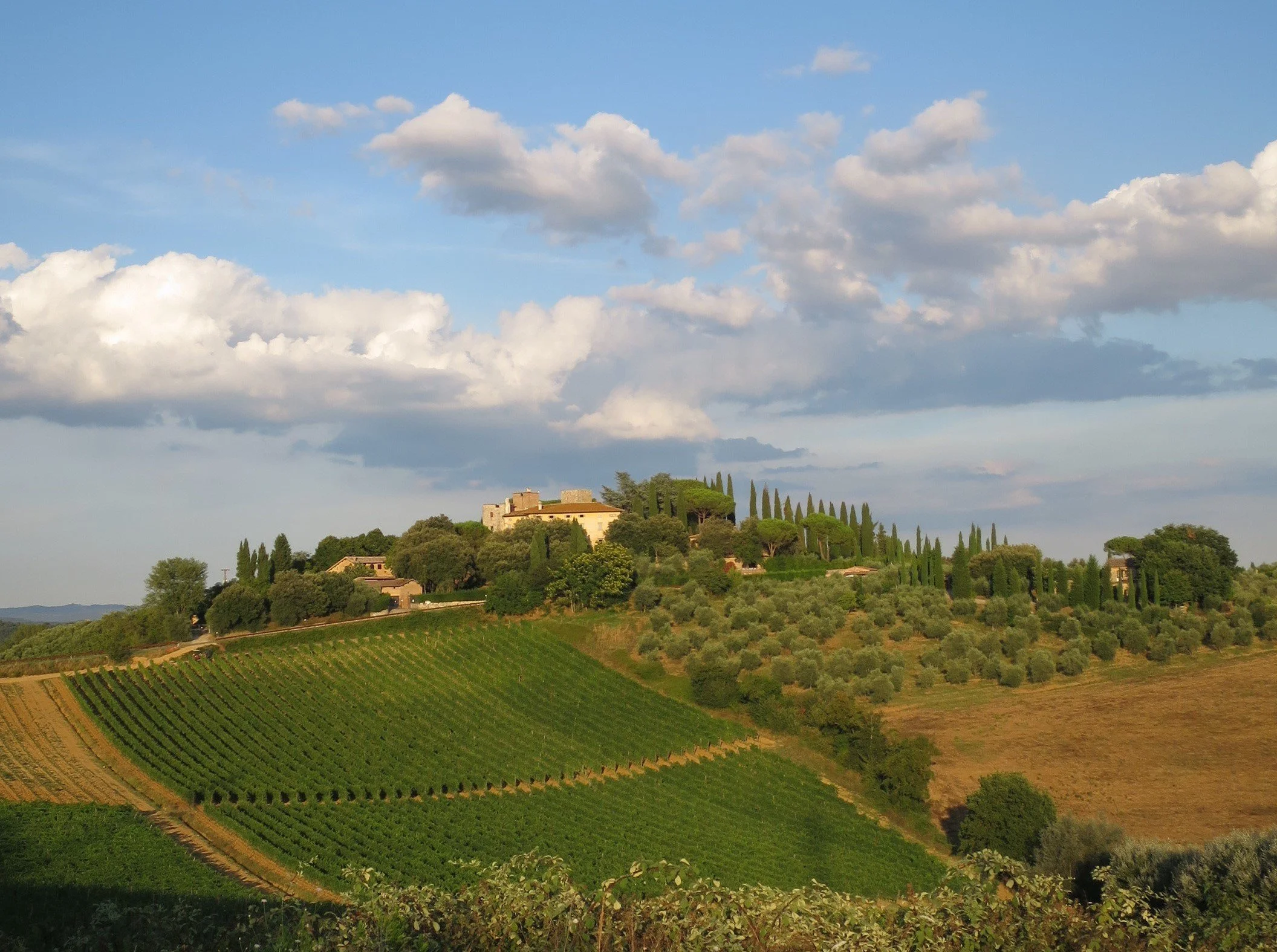 torre alle tolfe 9.jpg