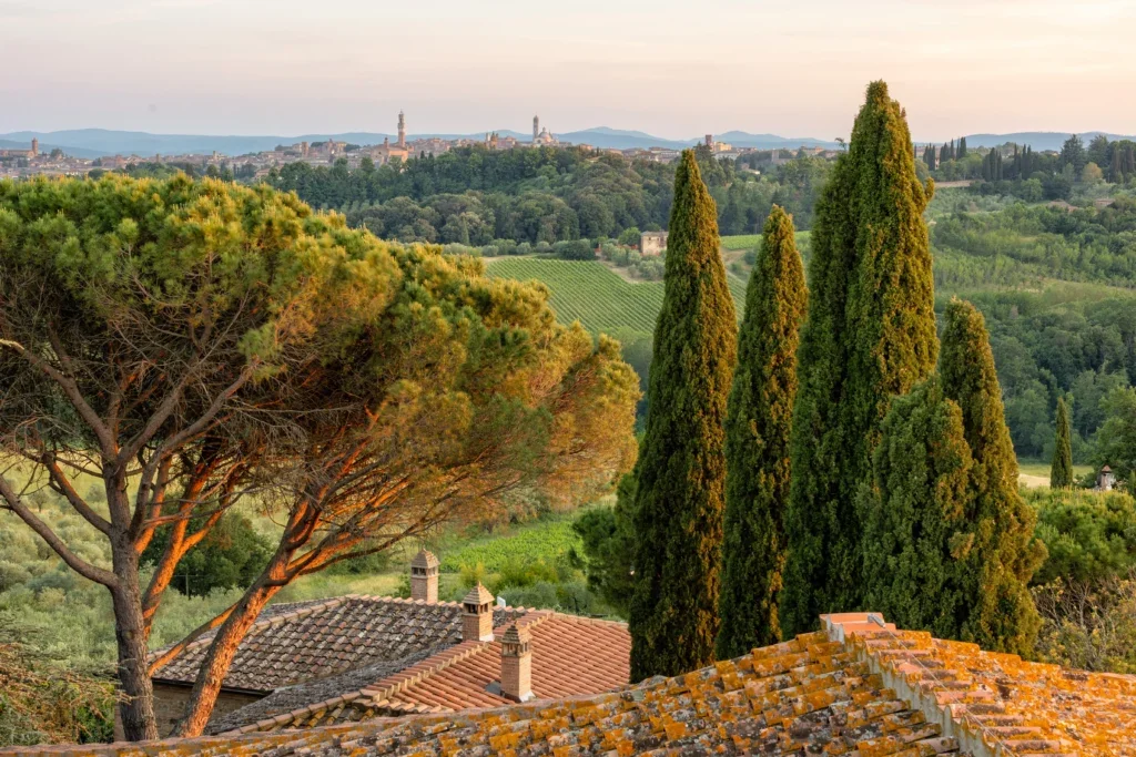 torre alle tolfe 5.webp
