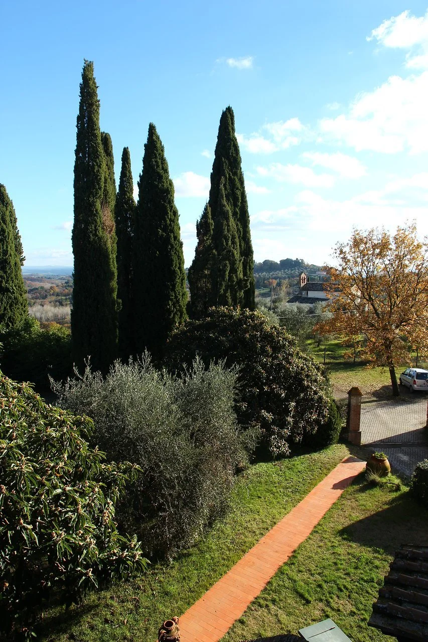 torre alle tolfe 23.jpg
