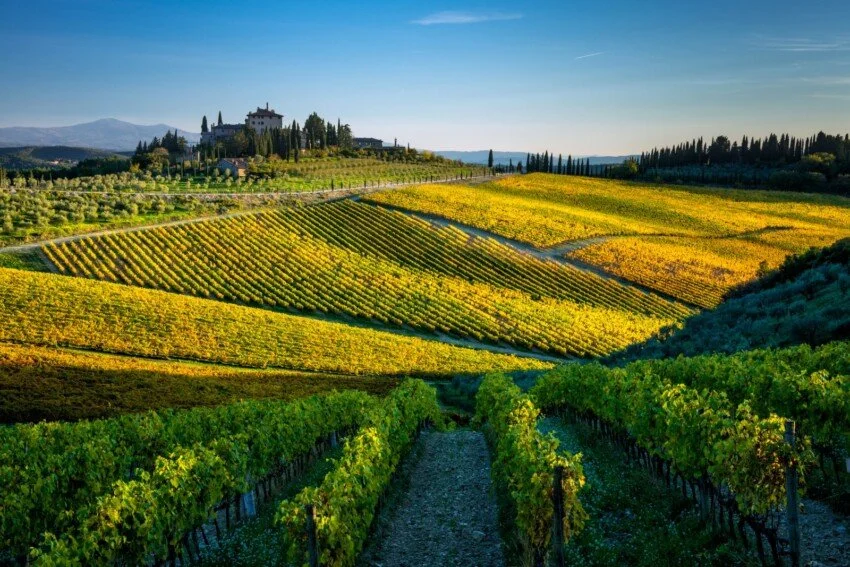 Chianti-landscap 6.jpg
