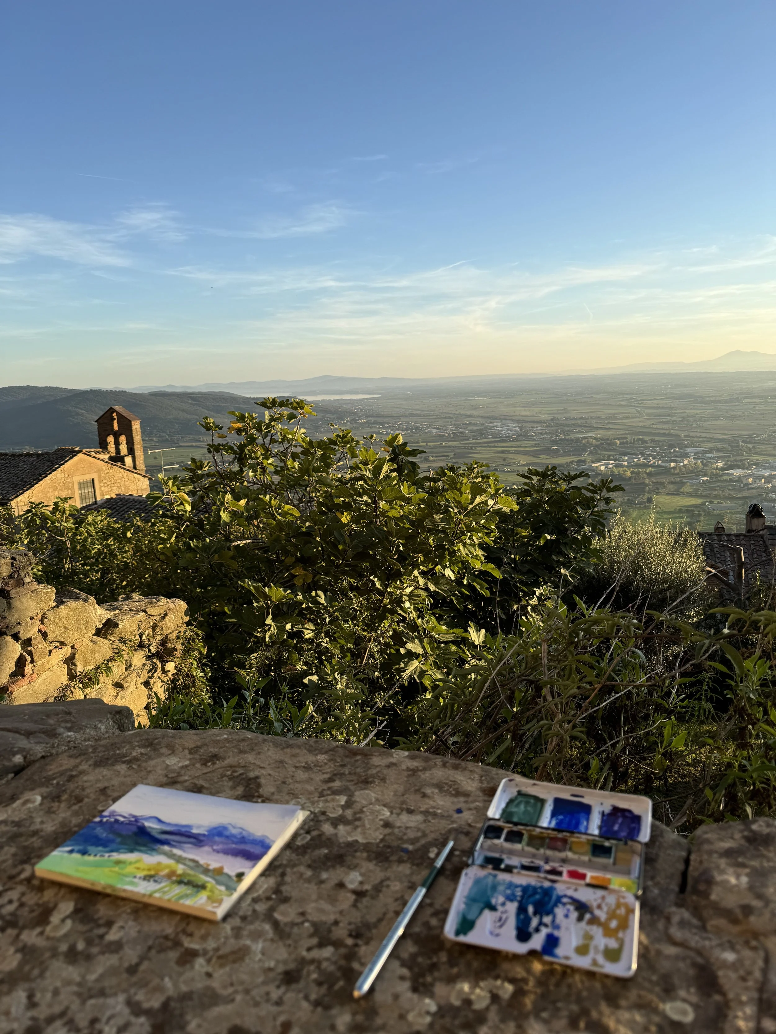 Cortona View_plein air painting 1.jpg