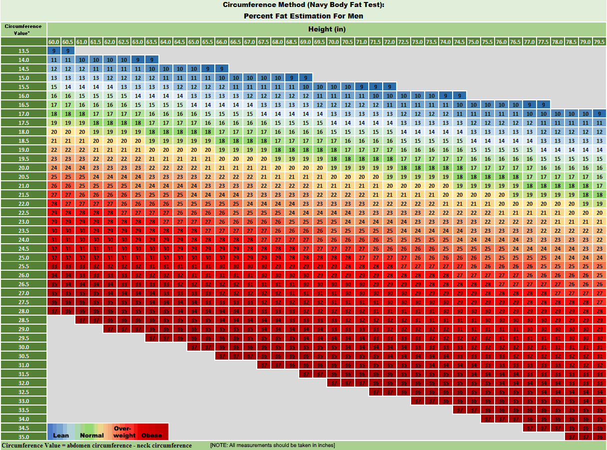 male-navy-body-fat-test-table.png