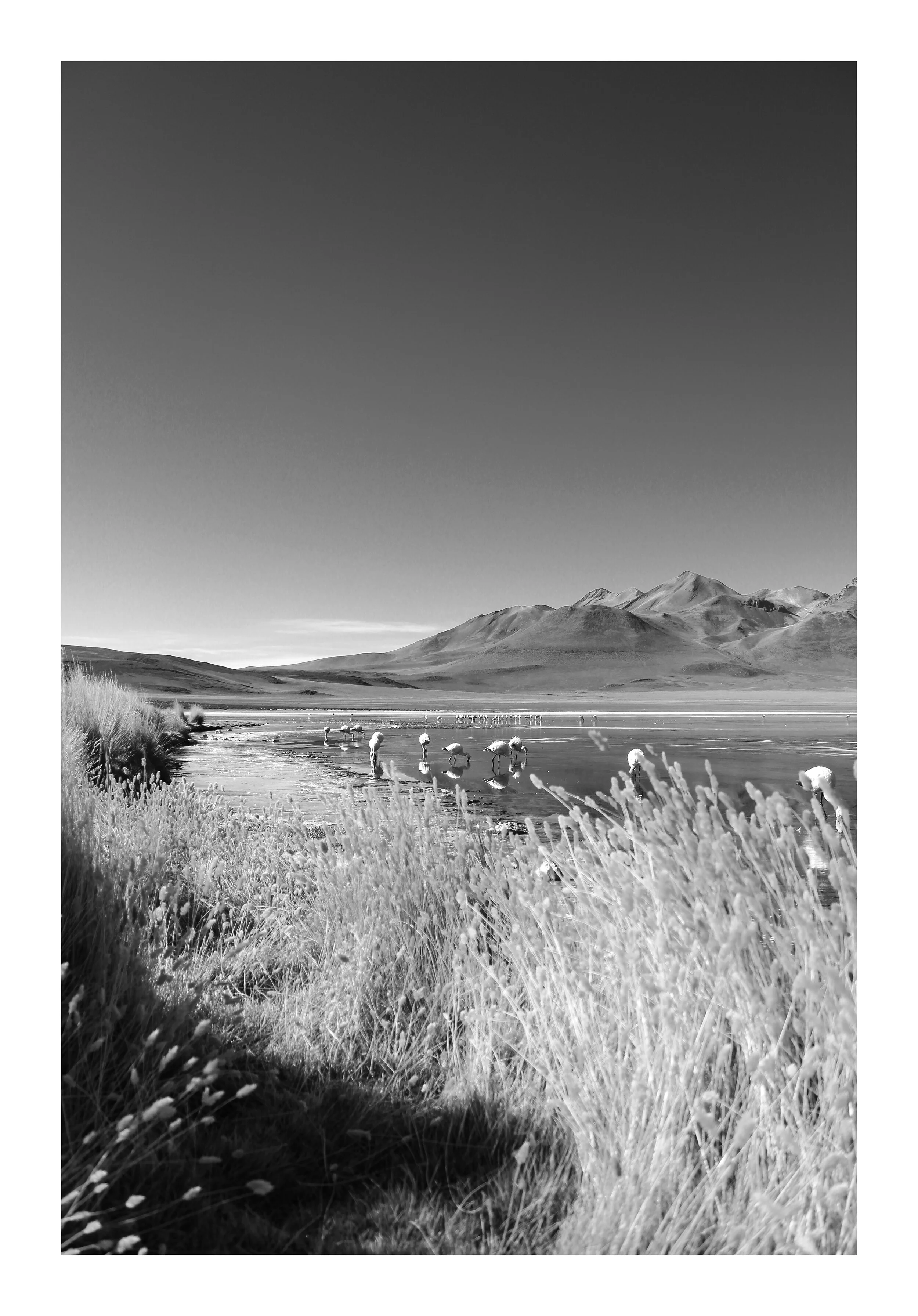 mount-vertical.jpg
