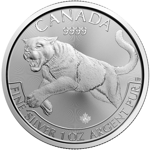 2016 Silver Cougar