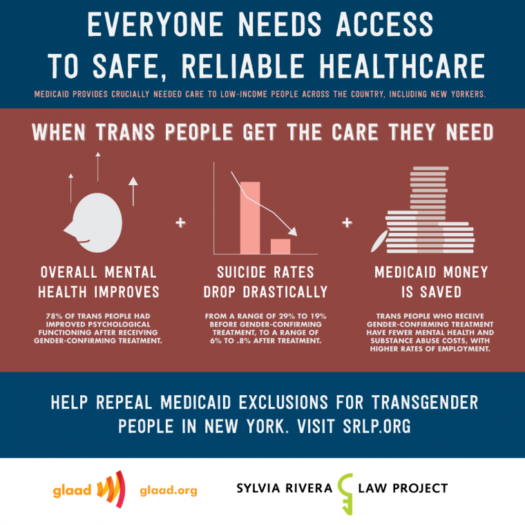Trans infographic.png