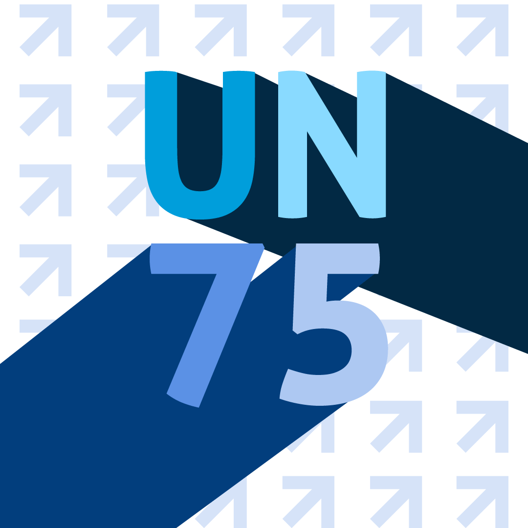 North Texas Virtual UN75 Consultation