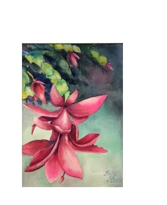 Cactus for All Seasons