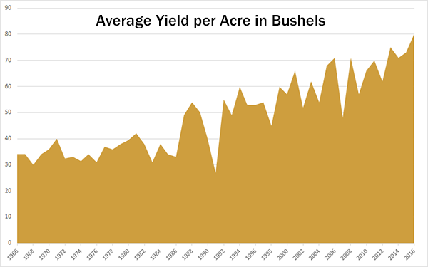 Kentucky average wheat yield over the past 50 years. Increases in average wheat yield have exceeded that of corn for the past 25 years. 