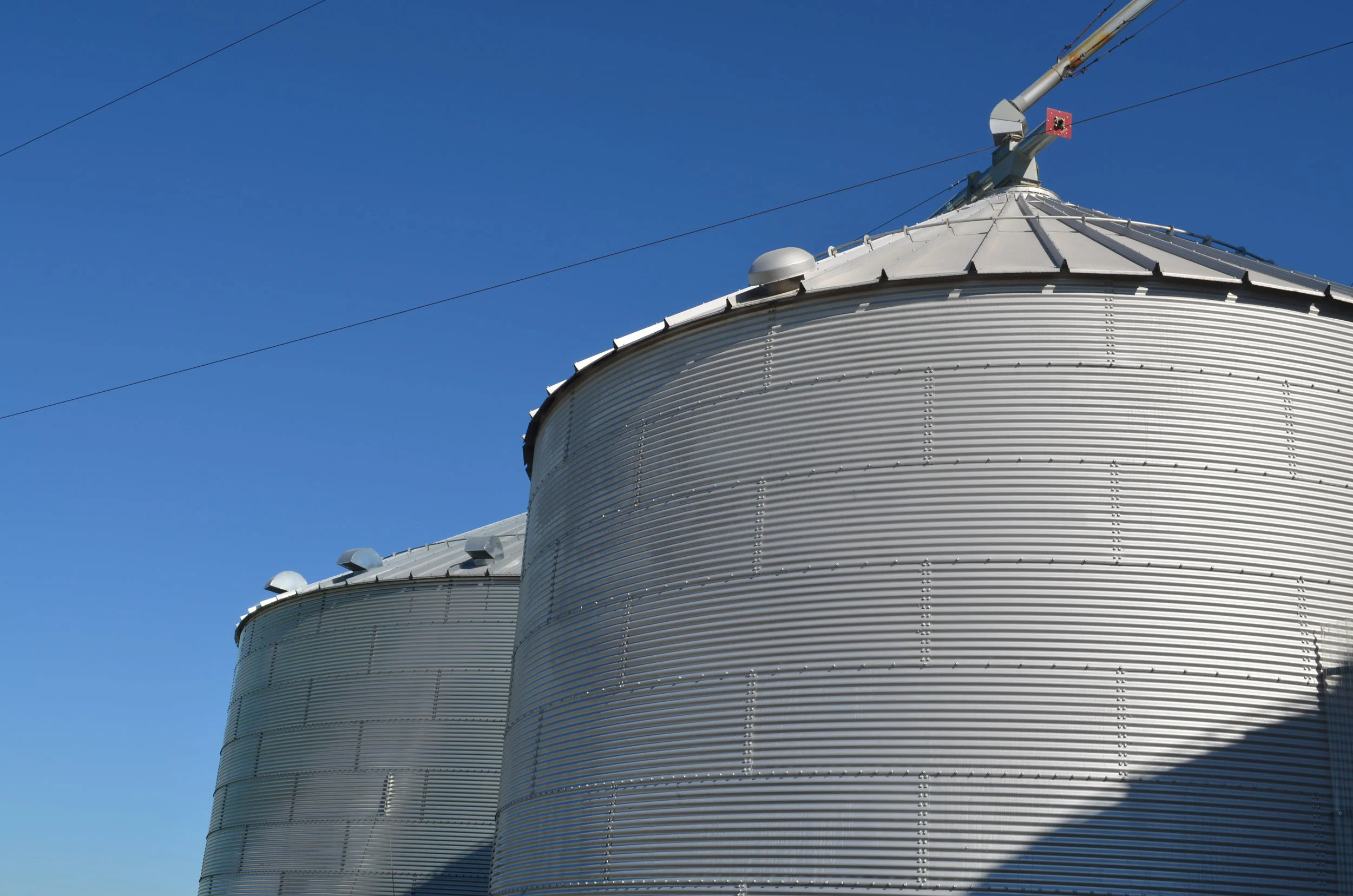 Wheat Outlook for 2018-2019 and Preliminary 2019-2020 Projections 