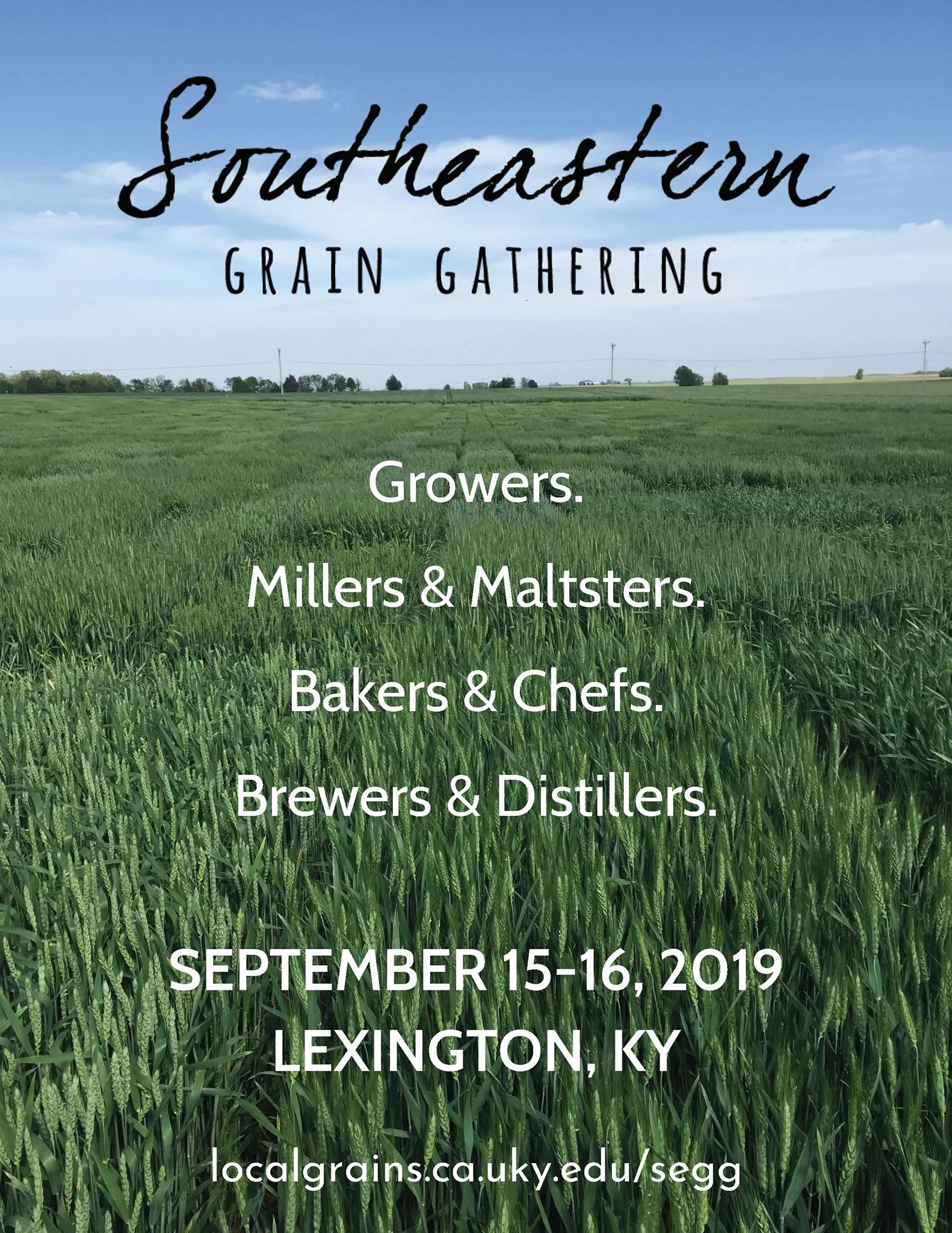 southestern grain gathering _o.jpg