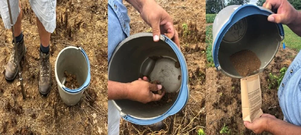 Phosphorus and Potassium for Winter Wheat, and What About Nitrogen?