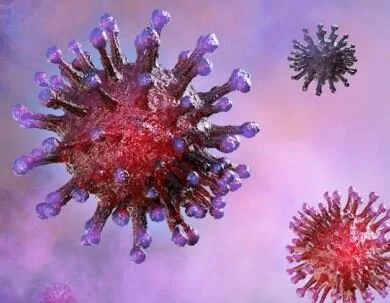 America’s Farmers: Resilient Throughout the COVID Pandemic