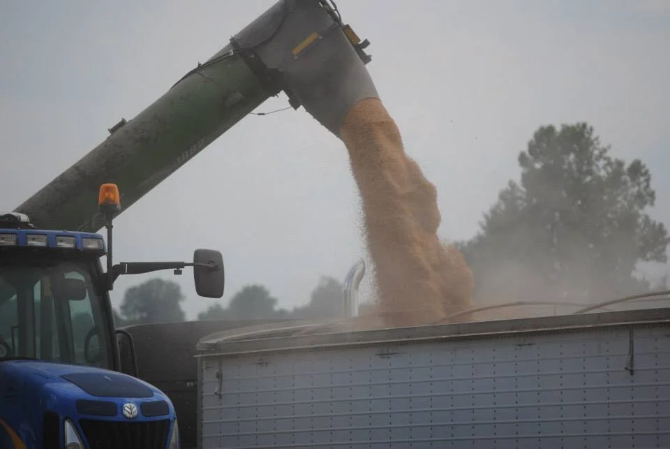 Annual Report 2020 — Kentucky Small Grain Growers Association