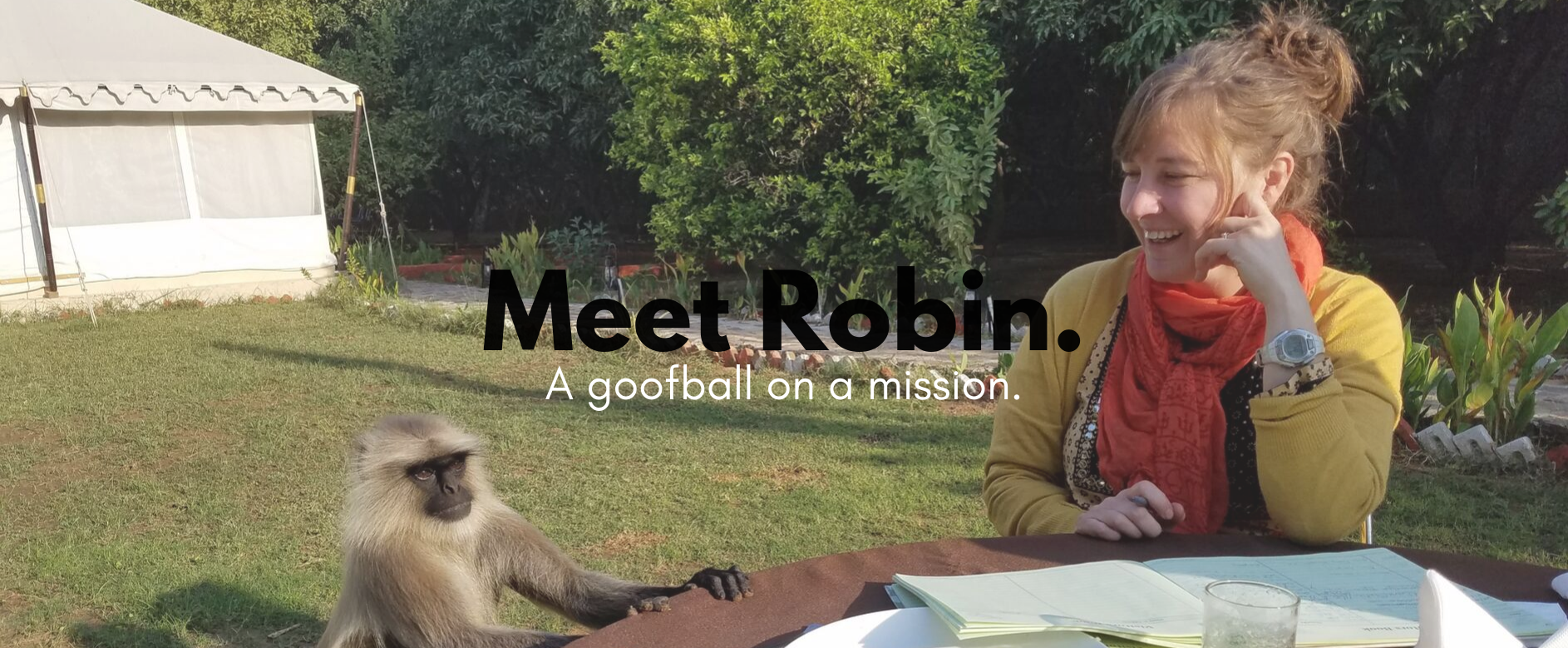 Meet Robin.png