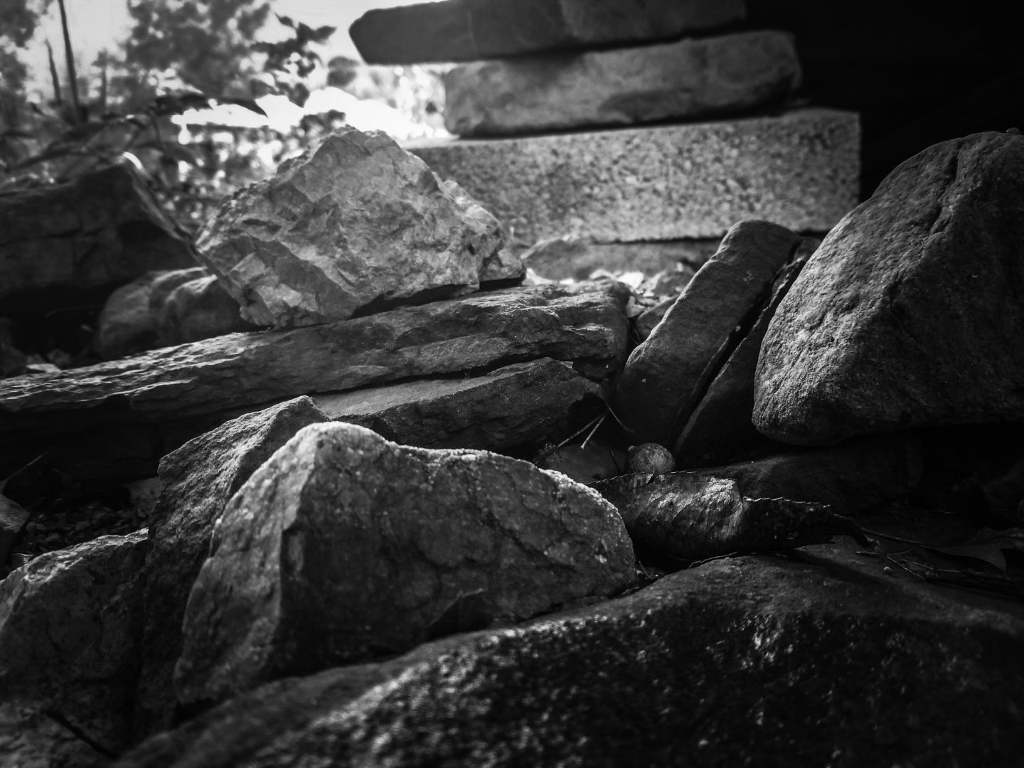 Resized_PSX_20181013_194418_6089.jpeg