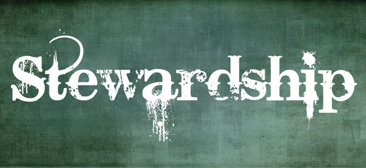 Stewardship