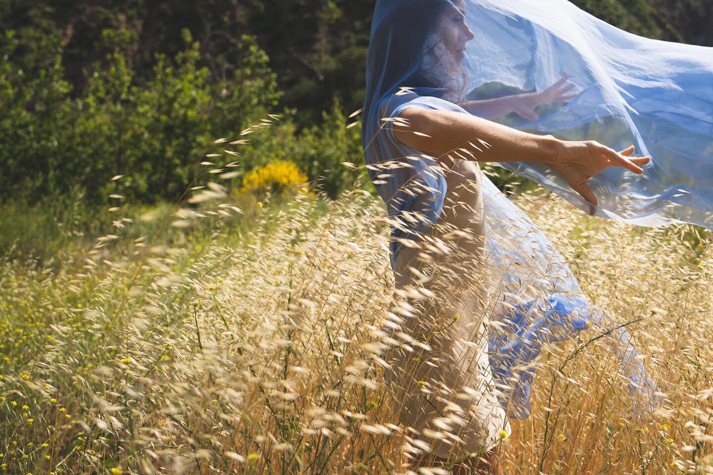 Sometimes I am moved to dance where there is no music. To find my rhythm by attuning to the sounds of nature... oat straw in the wind, a creek in the distance, birds chirping their evening song.  Matching my movement to the spaciousness of my surroun