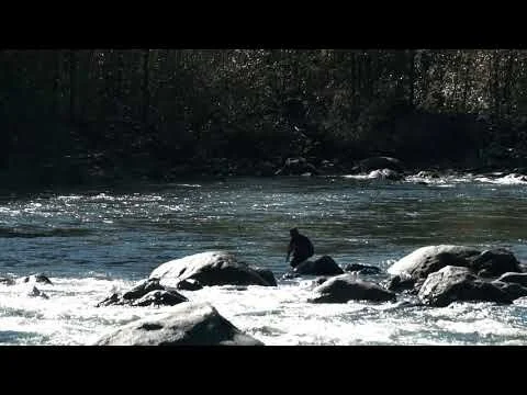 Gorgeous Footage Fraser Valley, British Columbia