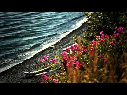 An Ocean Story by G. David Boyd