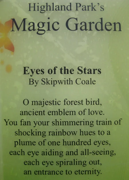 This beautiful poem was written by my sister, Skipwith Coale, in 2014 for our Magic Garden collaboration work. It was displayed outside, next to my peacock sculpture, " EYES OF THE STARS" .