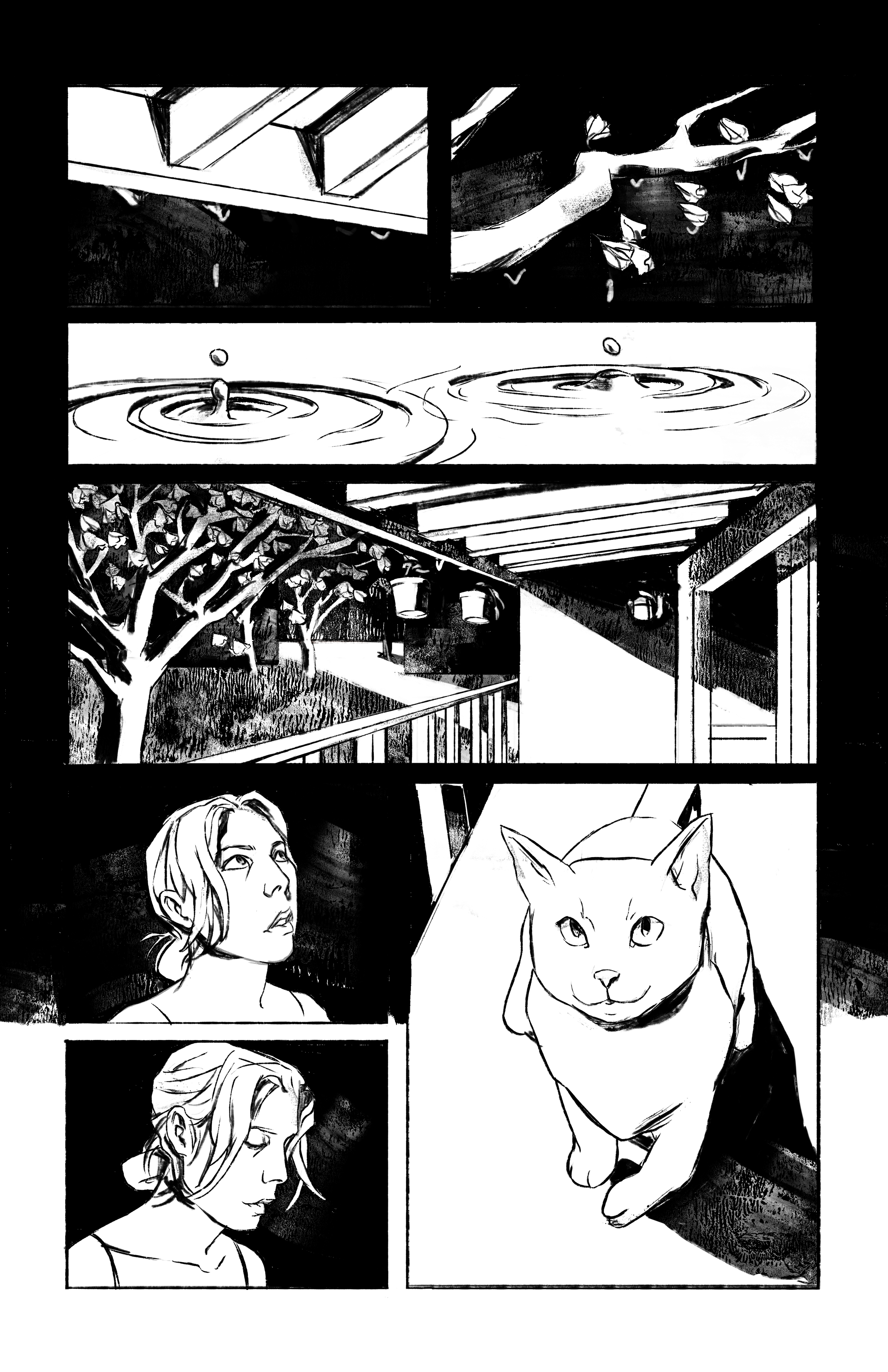 page6final.png