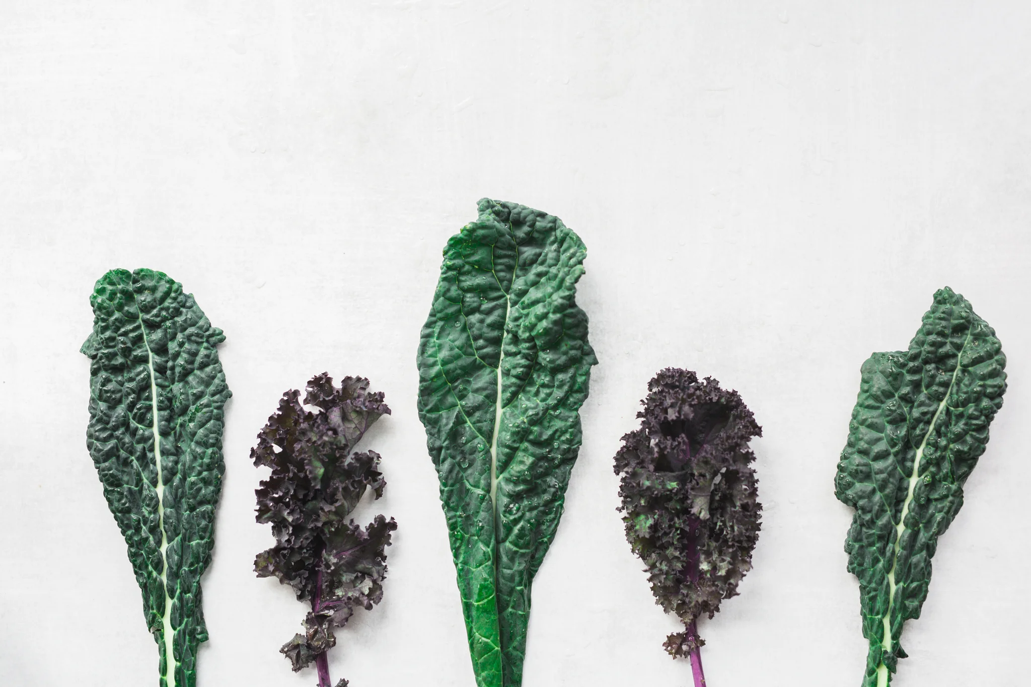 Kale_on_Brushed_Concrete-102.jpg