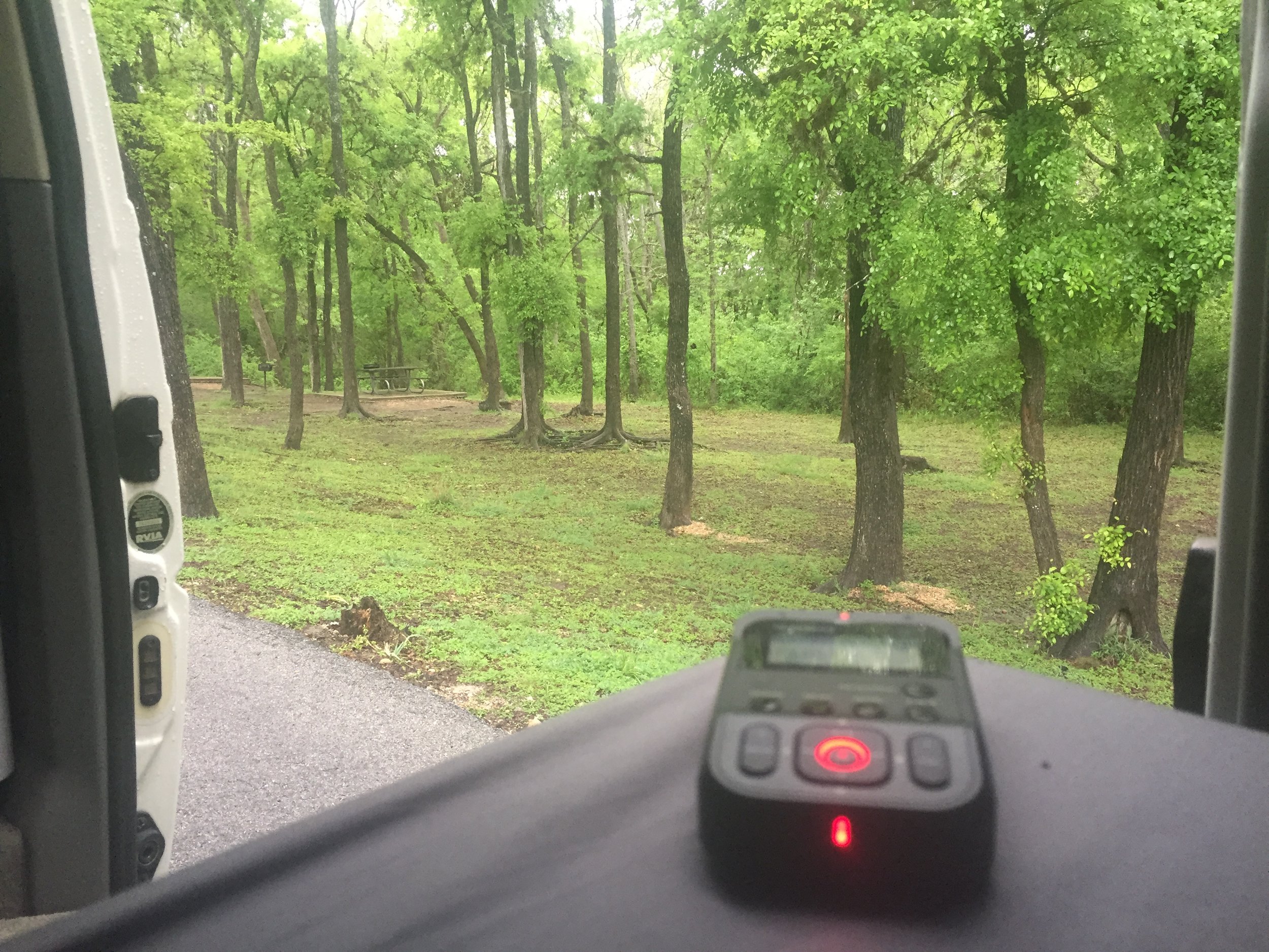 Lockhart State Park, TX