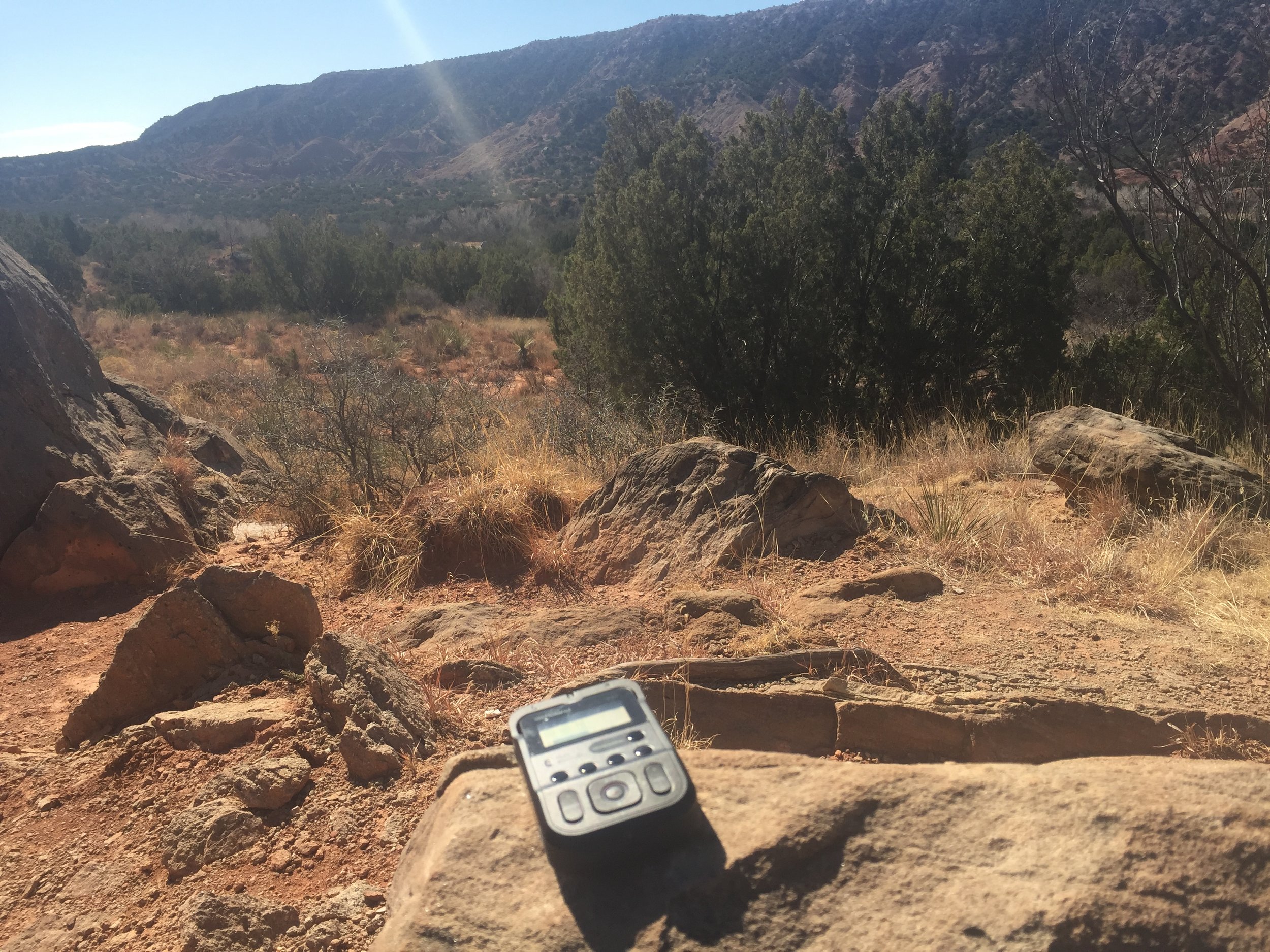 Palo Duro Canyon, TX