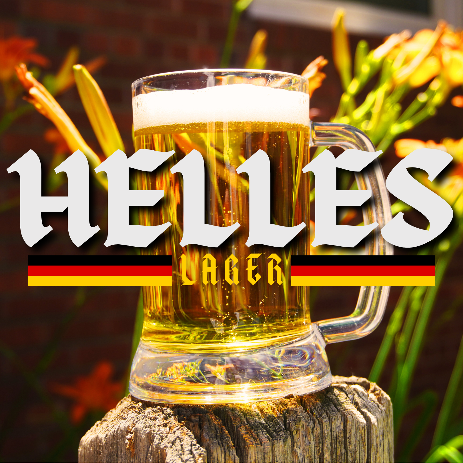 Beer Release: Helles Lager