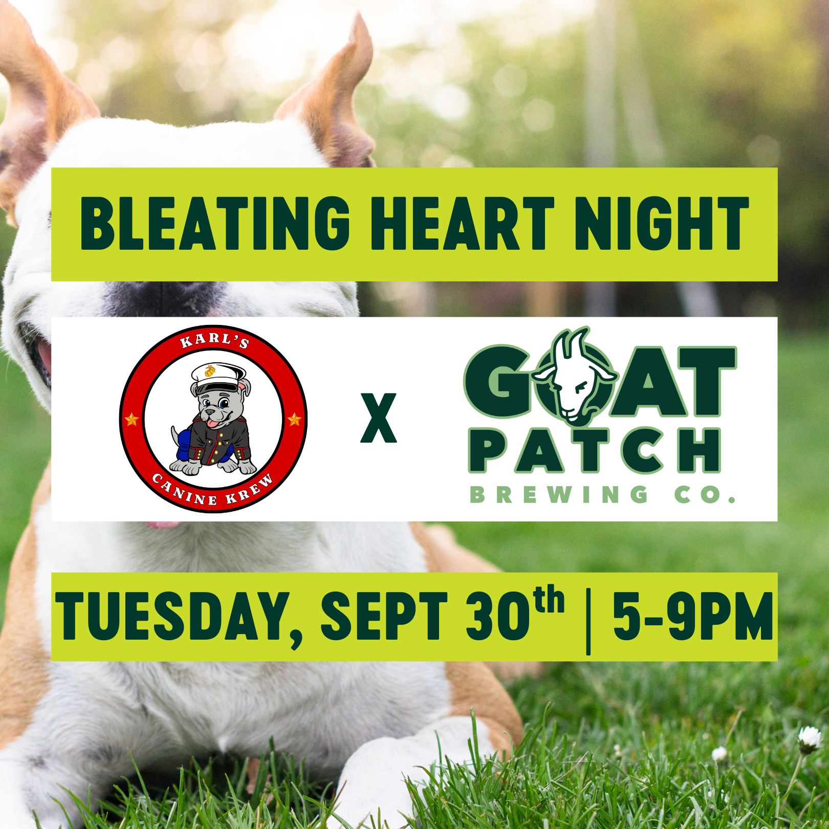 Bleating Heart Night: Karl's Canine Krew