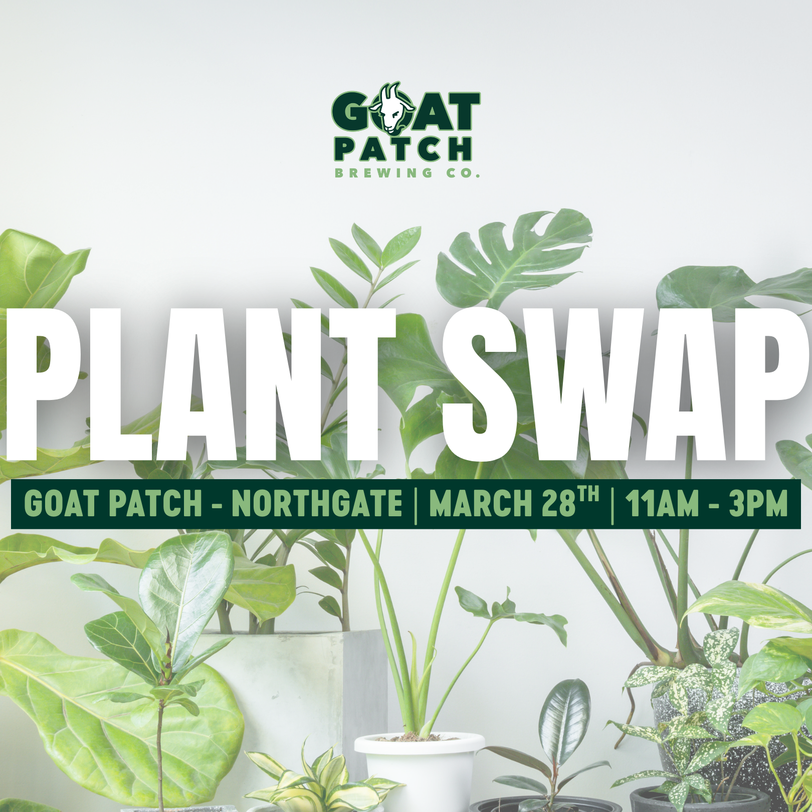 Plant Swap at Goat Patch - Northgate