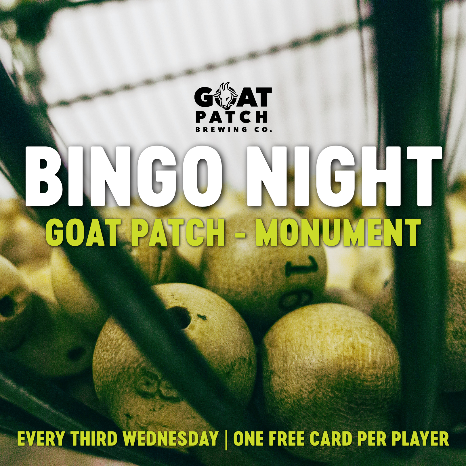 Bingo Night