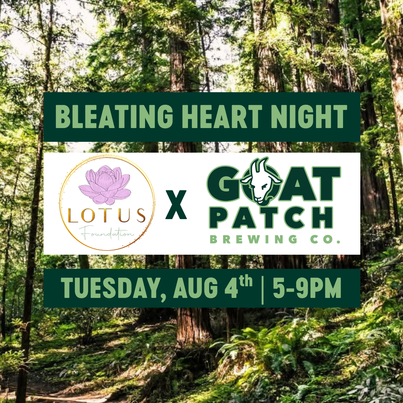 Bleating Heart Night: Lotus Foundation