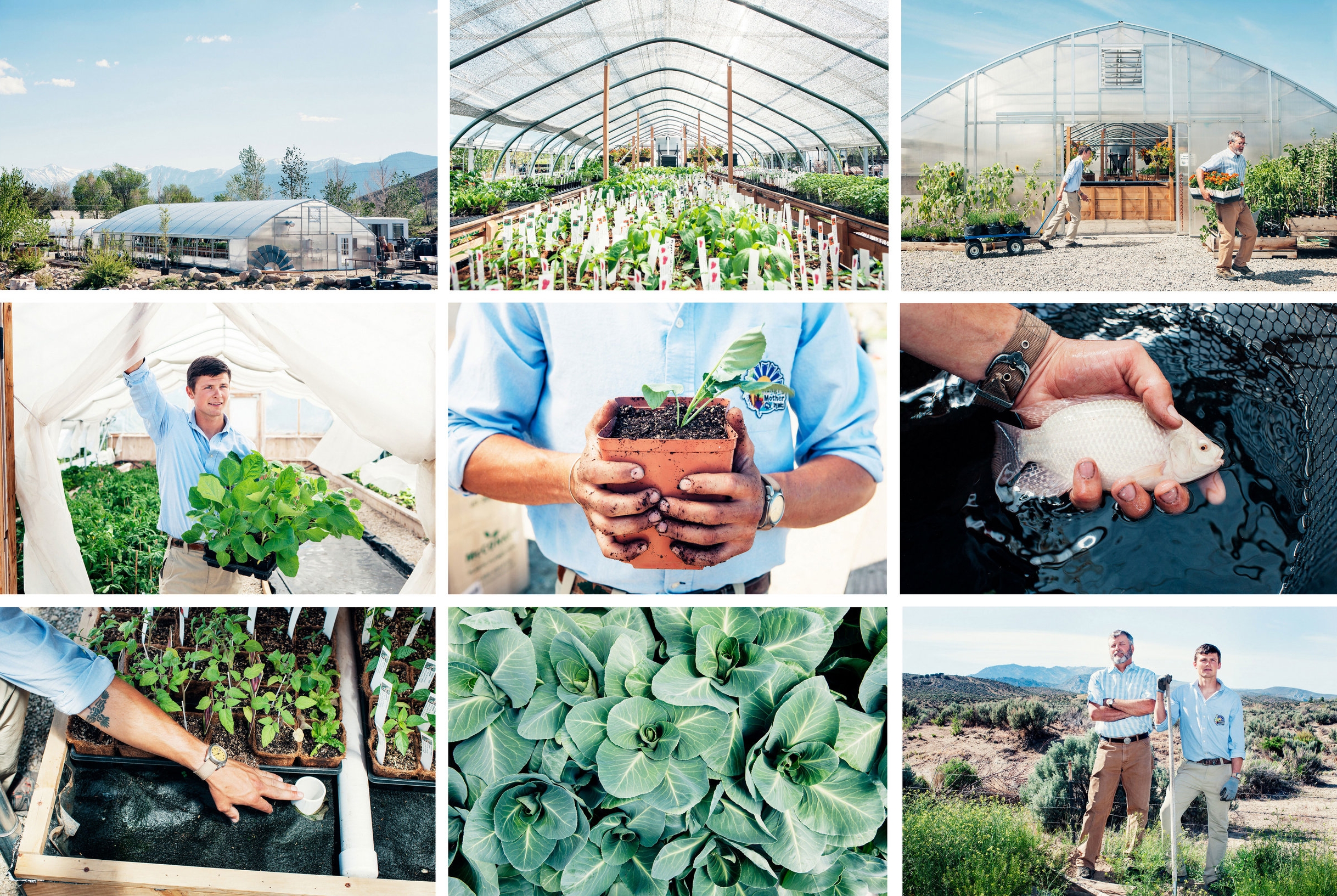 Client: Bloomberg Businessweek Role: Assigning photo editor Photographers: Anaïs & Dax Story: Farming Fish in the Nevada Desert.
