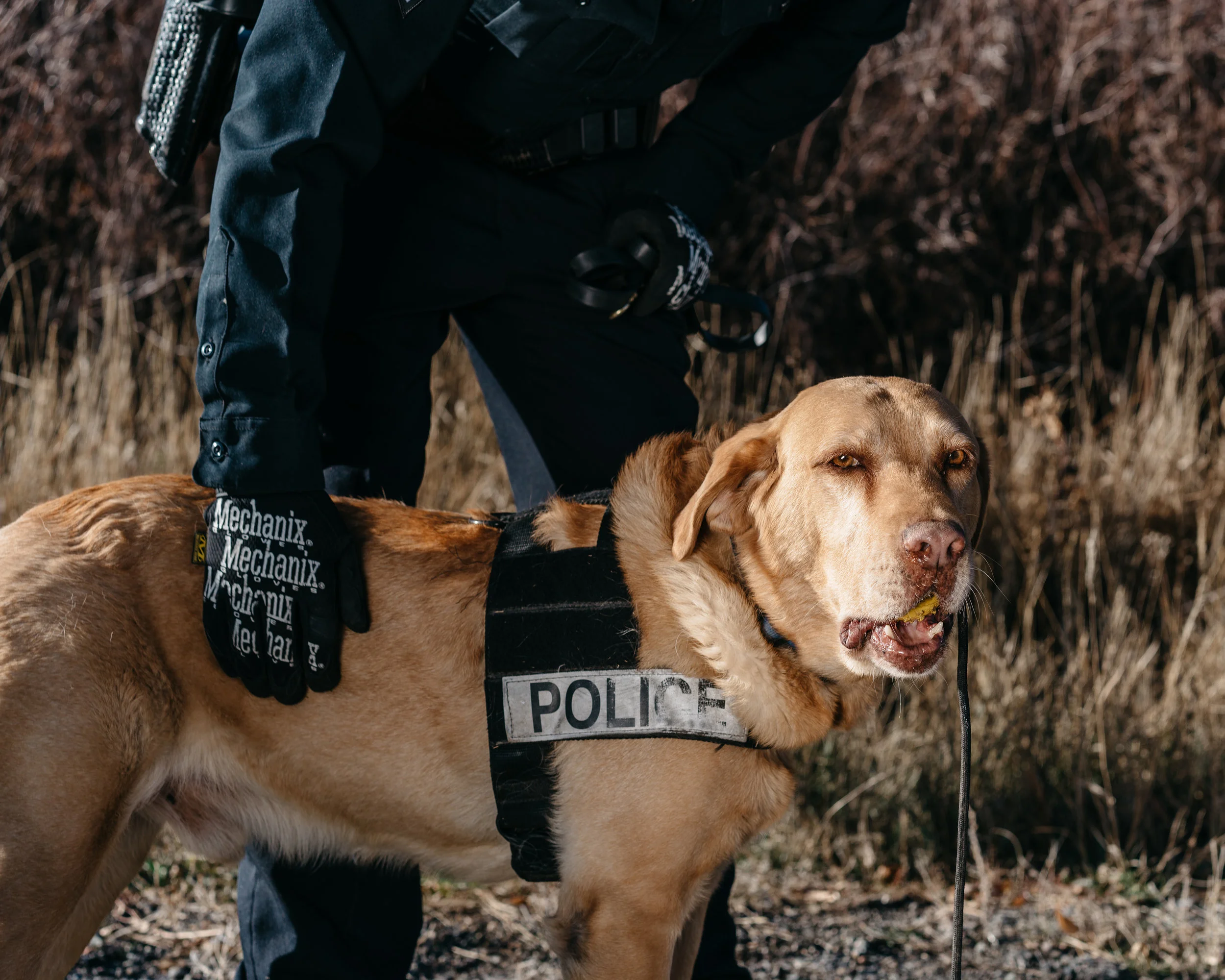 DRUGDOGS-34.jpg