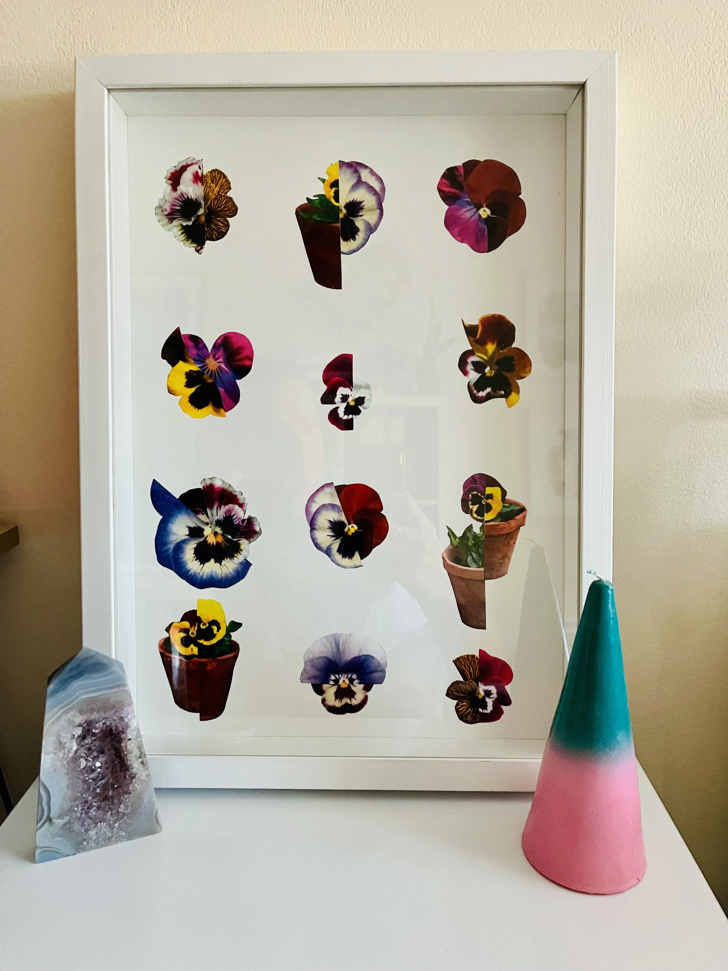 IMG_7681.jpeg