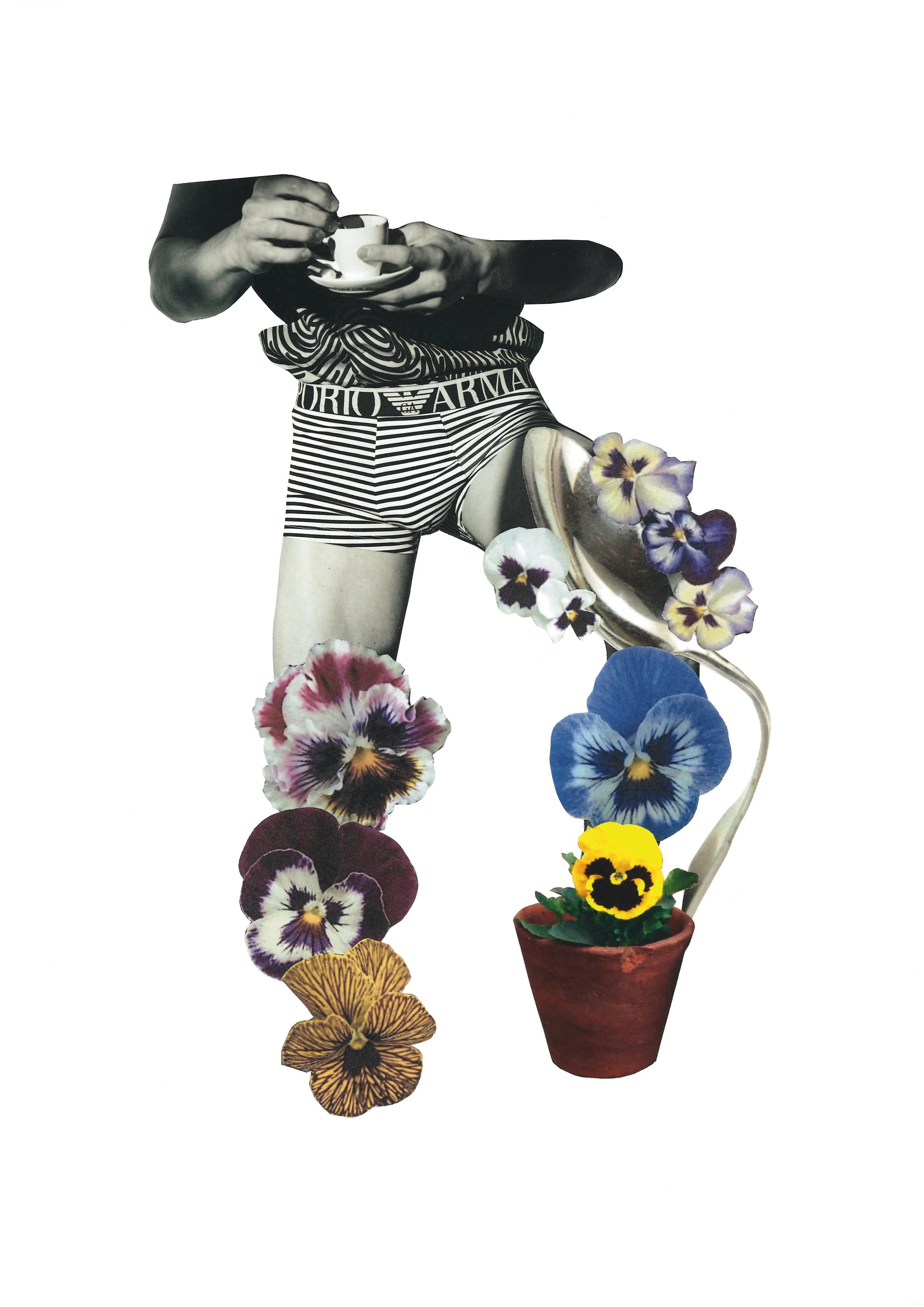 LukeAnthonyRooney_12_Morning-Glory.jpg.jpg