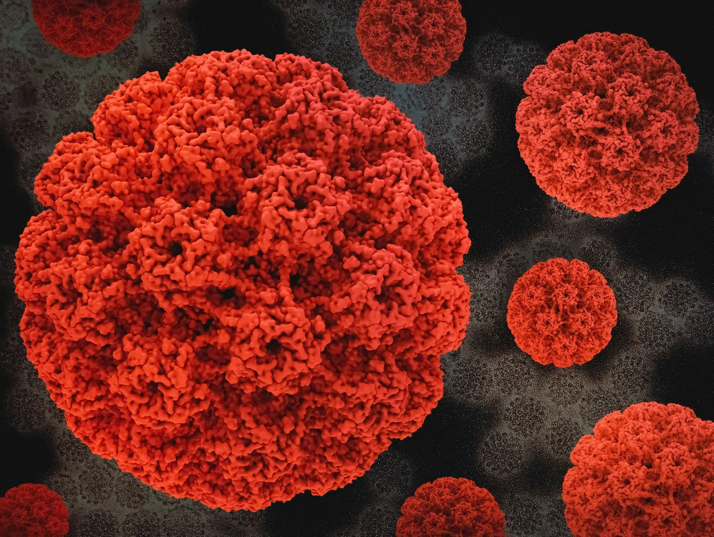 Immunotherapy Design and Safety