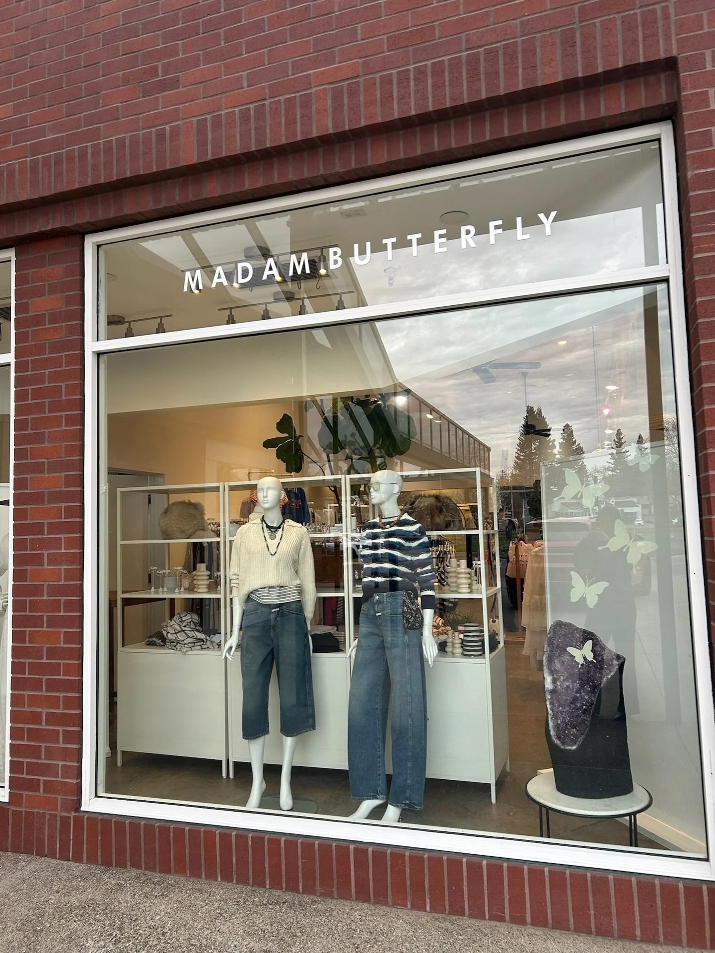 @margaretoleary windows 🦋