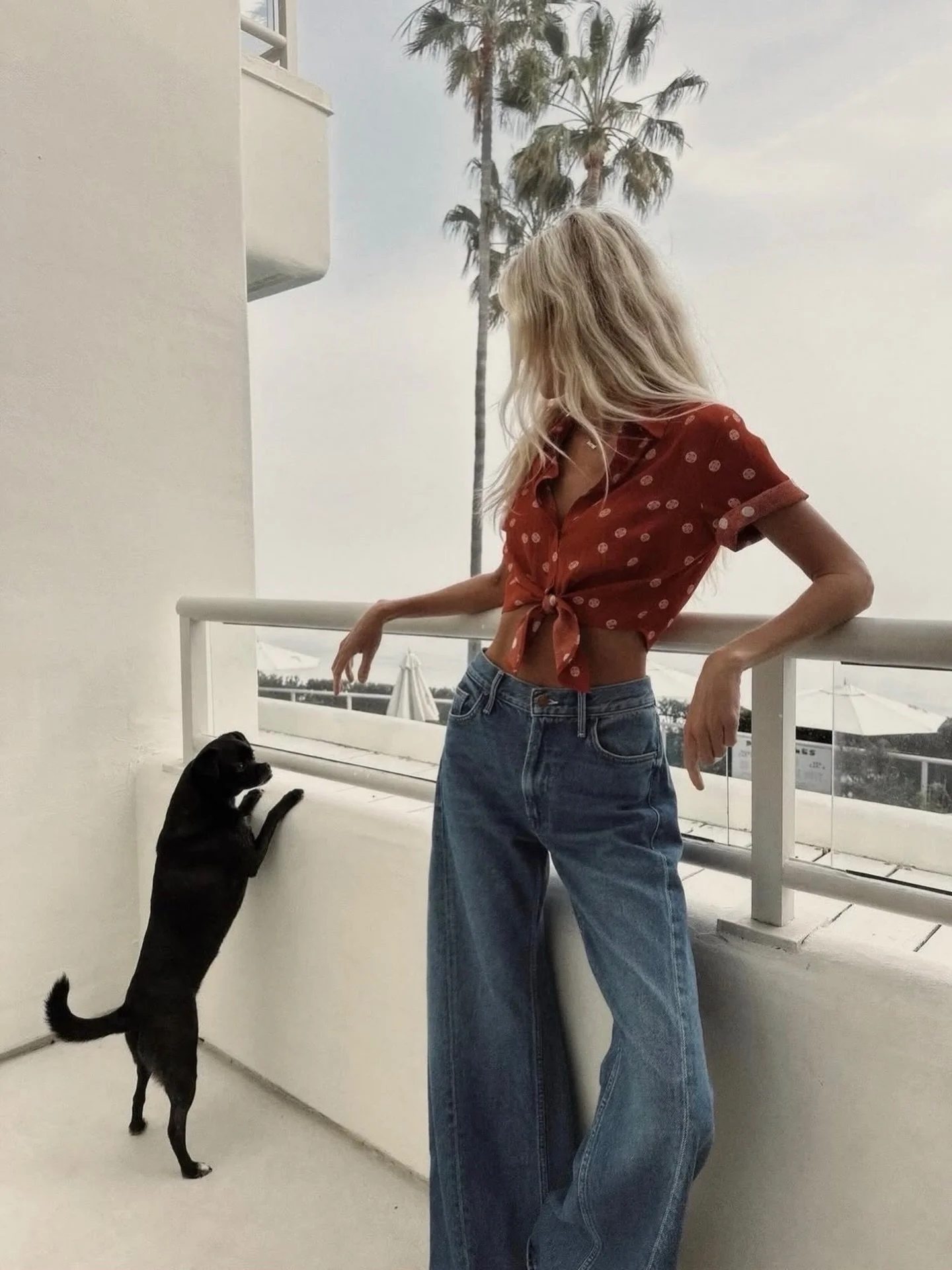 The lemon twist is back in stock 🍋